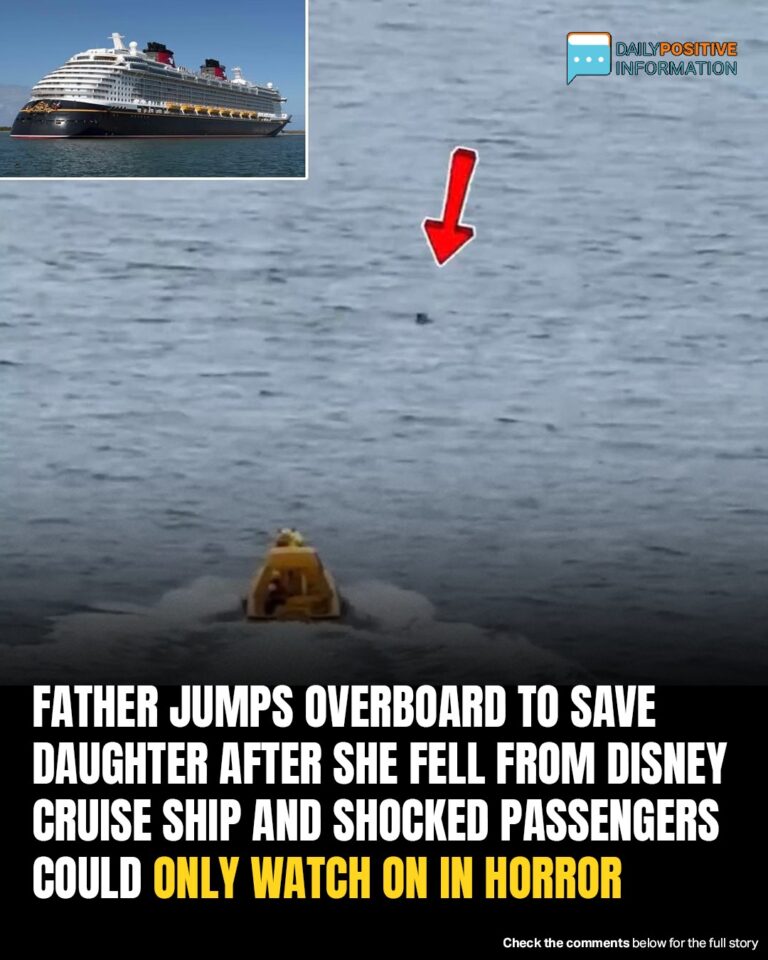 Hero Dad Leaps Off Disney Cruise Ship To Save Daughter Who Fell Overboard