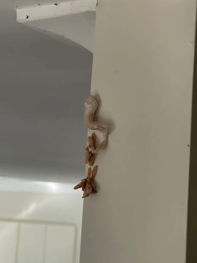 Strange Pink Foam Appeared on My Wall Overnight—Here’s What Happened Next