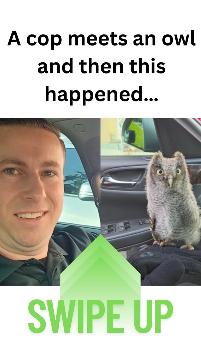 The Little Owl That Stopped a Cop in His Tracks!