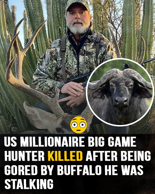 Texas ranch millionaire fatally gored by buffalo on South Africa hunt